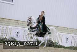 25R13_02711 thumbnail