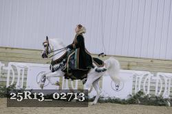 25R13_02713 thumbnail