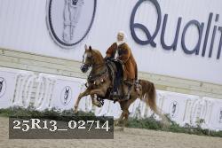 25R13_02714 thumbnail