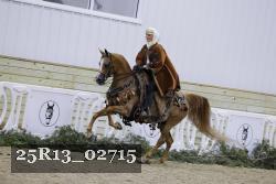 25R13_02715 thumbnail