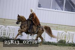 25R13_02716 thumbnail
