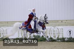 25R13_02719 thumbnail