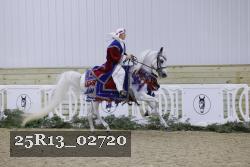 25R13_02720 thumbnail