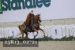 25R13_02721 thumbnail