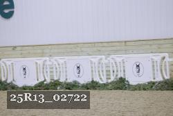 25R13_02722 thumbnail