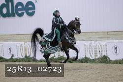 25R13_02723 thumbnail