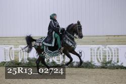 25R13_02724 thumbnail