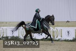 25R13_02725 thumbnail