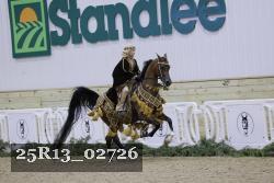 25R13_02726 thumbnail