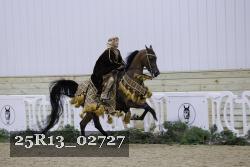 25R13_02727 thumbnail