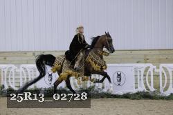 25R13_02728 thumbnail