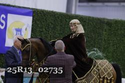 25R13_02735 thumbnail