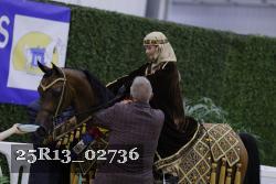 25R13_02736 thumbnail