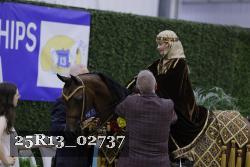 25R13_02737 thumbnail