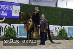 25R13_02741 thumbnail
