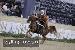 25R13_02750 thumbnail