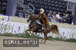 25R13_02751 thumbnail