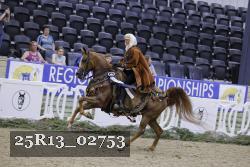 25R13_02753 thumbnail