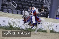 25R13_02759 thumbnail