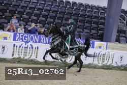 25R13_02762 thumbnail