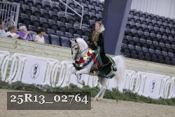 25R13_02764 thumbnail