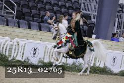 25R13_02765 thumbnail