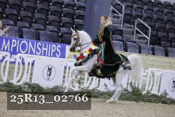 25R13_02766 thumbnail