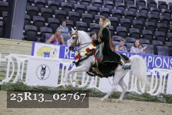 25R13_02767 thumbnail