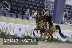 25R13_02768 thumbnail