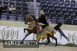 25R13_02771 thumbnail