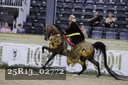 25R13_02772 thumbnail