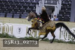 25R13_02773 thumbnail