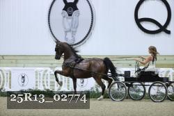 25R13_02774 thumbnail