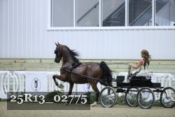 25R13_02775 thumbnail