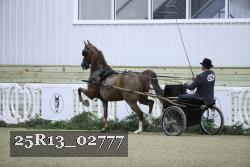 25R13_02777 thumbnail