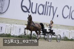 25R13_02778 thumbnail
