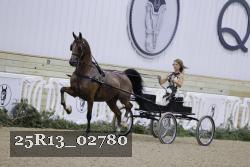 25R13_02780 thumbnail