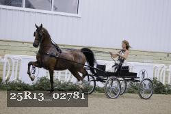 25R13_02781 thumbnail