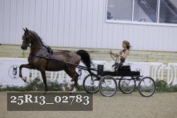 25R13_02783 thumbnail