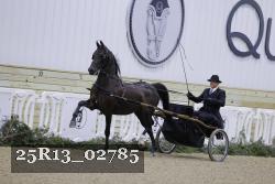 25R13_02785 thumbnail