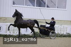 25R13_02786 thumbnail