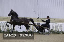 25R13_02788 thumbnail