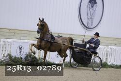 25R13_02789 thumbnail
