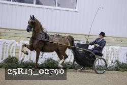 25R13_02790 thumbnail
