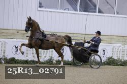 25R13_02791 thumbnail