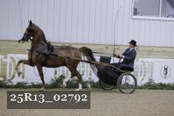 25R13_02792 thumbnail