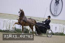 25R13_02793 thumbnail