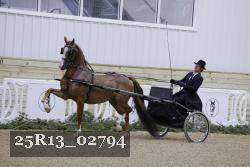 25R13_02794 thumbnail