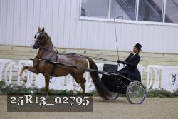25R13_02795 thumbnail