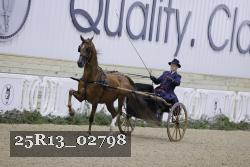 25R13_02798 thumbnail